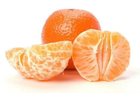 تصویر 3 از قیمت و خرید نارنگی درختی آبدار + فروش ارزان